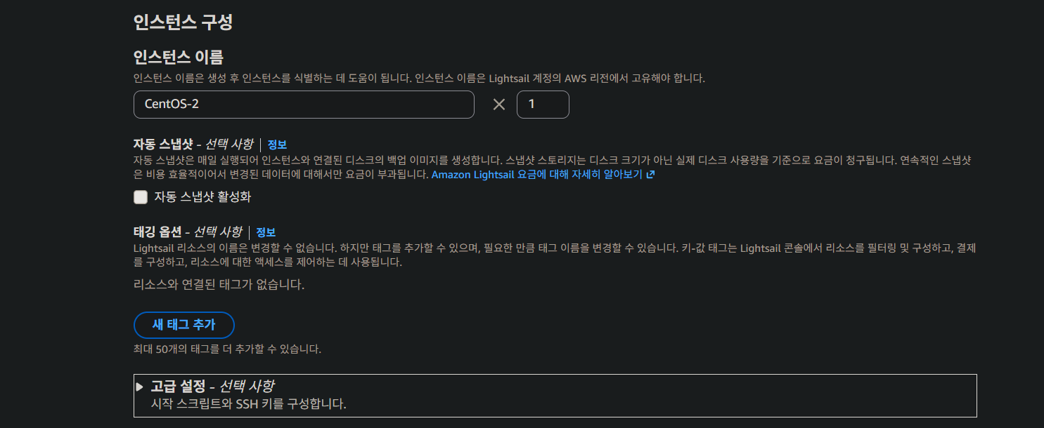 인스턴스 이름 입력 칸